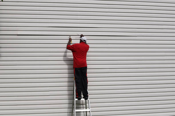 Affordable Siding Repair and Maintenance Services in Castroville, CA